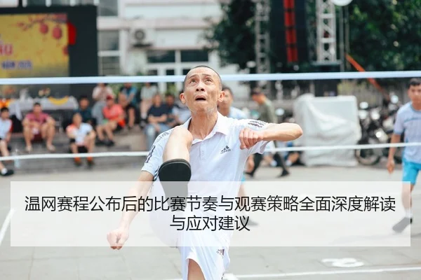 温网赛程公布后的比赛节奏与观赛策略全面深度解读与应对建议
